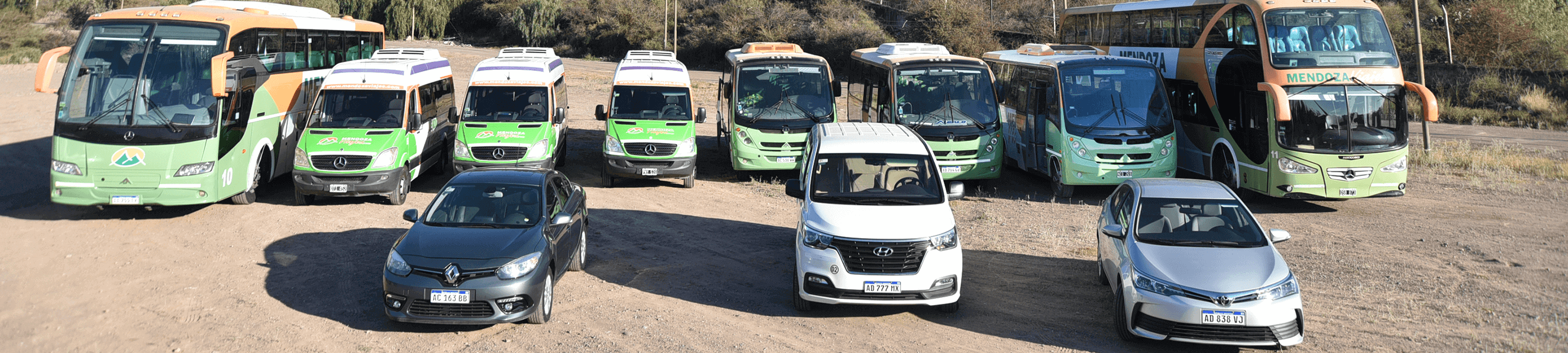 Minibus en Viñedos 